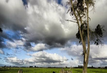 32支队伍、128名选手，“羽”职工一起拥抱春天.