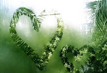 12岁男孩完赛半马还跑出国家三级运动员水平？组委会回应：属实.