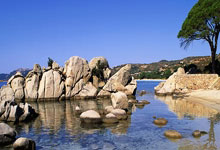 2025赛季武汉三镇足球俱乐部主场票务销售通道即将开启.